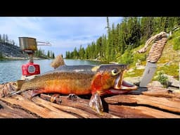 GIANT Trout Catch & Cook in HIGH ALTITUDE Mountain Lake!!!