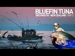 BLUEFIN TUNA - Trip 3 - Greymouth, New Zealand