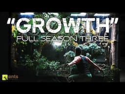 "Growth" Full Season Three Compilation - The AntsCanada Ecosystem Vivarium Series