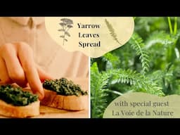 Yarrow Leaves Spread 💚🌿