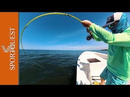 Fly Fishing For Tarpon at Tarponville Lodge, Costa Rica