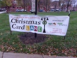 Christmas Card Lane Decatur Illinois November 27 2024