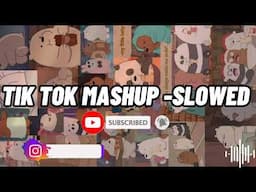 TIKTOK MASHUP -SLOWED (DANCE)