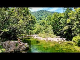 Sailing the Daintree | Oldest Rainforest in the World!