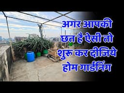 अगर आपकी छत है ऐसी तो शुरू कर दीजिये होम गार्डनिंग | Roof Is Like This Then Start Home Gardening