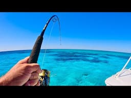 Fishing Crystal Clear Water In Paradise!