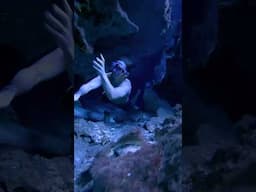 HOLD YOUR BREATH as we dive into a CENOTE together