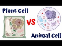 How plant cells are different from animal cells? || Plant Cell vs Animal Cell