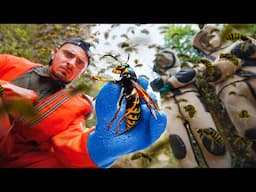 Inside the World of Chinese Deadly Hornet Hunters