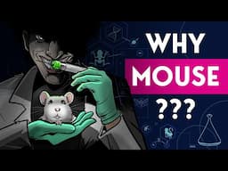 the real reason we do clinical trials on mice and not other animals