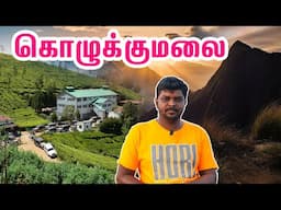 கொழுக்குமலை சுற்றுலா  I Kolukkumalai Sunrise Trek I The Highest Tea Plantation in The World I VDB