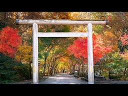 The Japanese Countryside in Autumn is Pure Magic