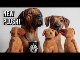 Rhodesian Ridgeback Plush and 2020 Review