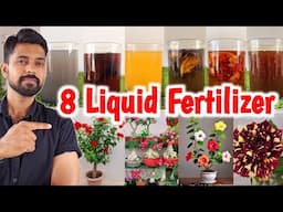 Top 8 Liquid Fertilizer for Plants| Fertilizer for ROSE plants