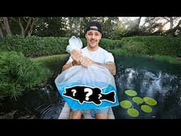 STOCKING My BackYard POND with MONSTER FISH!!