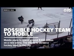 Minor league hockey could return to Mobile - WPMI NBC 15