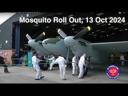 Mosquito Roll Out, 13 October 2024.