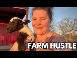 Farm Hustle: Selling Livestock, Repairs, Skid Steer Work & Baby Lamb Care All In One Day!