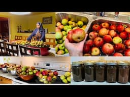 PRESERVING FOR A YEAR WORTH OF APPLESAUCE HOMEMADE FROM SCRATCH #harvesting #applesauce #homemade