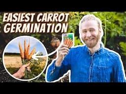 How to Plant Carrot Seeds Intensively | The Most Effective Strategies for Carrot Success