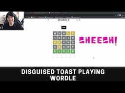 Disguised Toast Playing Wordle