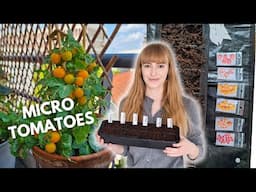 Sowing 6 Varieties of Microdwarf Tomatoes & Growing Them In The SHADE 🍅?!