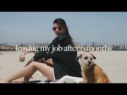 I left my job after 6 months | moving on to project management | 9-5 diaries