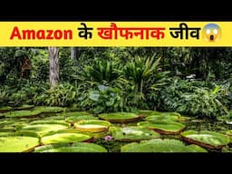 Amazon के 10 घातक जीव जो पल भर में जान ले सकते हैं | Top 10 Deadliest Creatures in Amazon