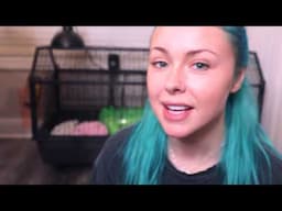 Daily Pet Care Routine 2021 | A day in my life with 30+ pets!