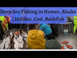 Deep Sea Fishing Out Of Homer, Alaska | Halibut, Cod, Rockfish