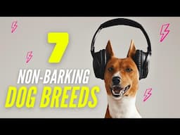 7 Dogs That Don't Bark