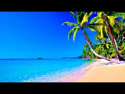 4K UHD Tropical Beach, Palm Trees. Ocean Waves, Blue Sea. Calming Ocean Sounds for Deep Sleep.