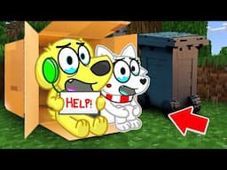 Tyler And Snowi Are HOMELESS In Minecraft!