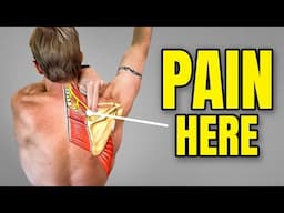 Shoulder Blade Pain Exercises (Upper Trapezius, Levator Scapulae, Cervical Referral)