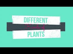 Science Song: Kinds of plants