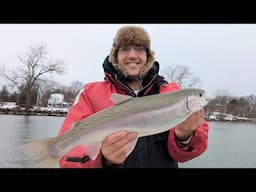 Walleye & trout combo - flexi jig magic