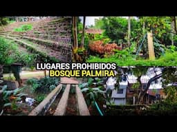 Los PEORES LUGARES del BOSQUE de PALMIRA cada vez peor un deterioro increible