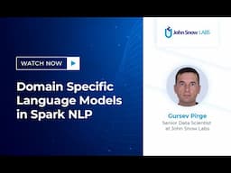 Domain Specific Language Models in Spark NLP