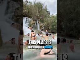 Saturnia Hot Springs - Is this place infested with bugs?  #Saturnia #Italy #Tuscany