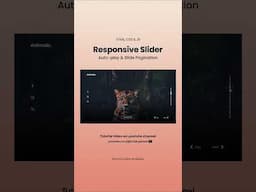 Responsive Image Slider Website | Right/Left Navigation, Auto-play & Pagination HTML CSS Javascript