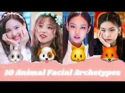 What ANIMAL Face Type Are You? | Animal Face Types Explained