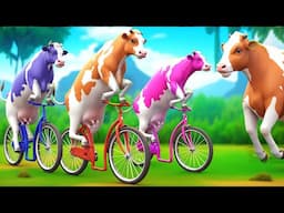 3 Giant Color Cows Race to Victory in a Funny Cycle Challenge! Funny Cow Cartoon Videos