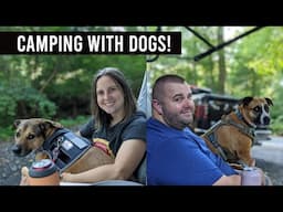 Let's Talk about Dogs! // Tips for RV Camping with Dogs