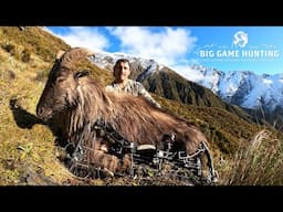 Bull Tahr Bow Hunting - West Coast New Zealand