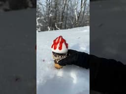 Snowcone season coming up! #satisfying #snow #yummy #dessert #strawberry #icecream #winter #nature