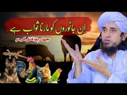 Janwaron ko Marna Jaiz Kaisa | Mufti Tariq Masood | @IslamicYouTube2