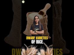 || Dwarf varieties of Rice ||