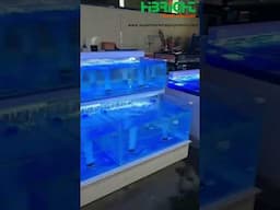 Highbright Supermarket Glass Seafood Tank with Cooling System.