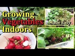 How to Grow & Harvest Vegetables Indoors with Growth Examples (Radishes, Leafy Greens, Peas)