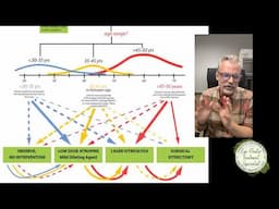 Big Algorithm: Types of Eye Floaters, Age Demographics, Treatment Options